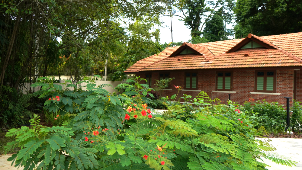 A brick house with green windows and a reddish-brown tiled roof is surrounded by lush greenery and trees.